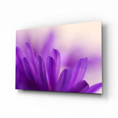 Purple Daisy Petals Glass Wall Art