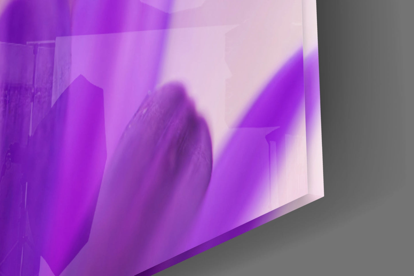 Purple Daisy Petals Glass Wall Art