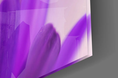 Purple Daisy Petals Glass Wall Art