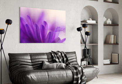 Purple Daisy Petals Glass Wall Art