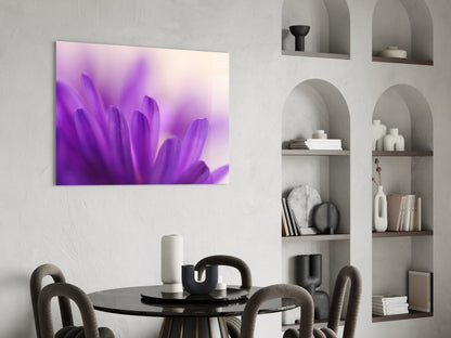 Purple Daisy Petals Glass Wall Art