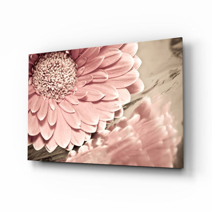 Gerbera Daisy Macro Glass Wall Art