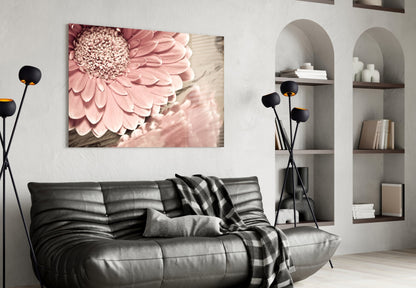 Gerbera Daisy Macro Glass Wall Art