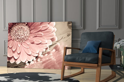 Gerbera Daisy Macro Glass Wall Art