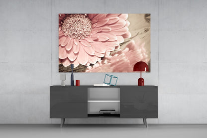 Gerbera Daisy Macro Glass Wall Art