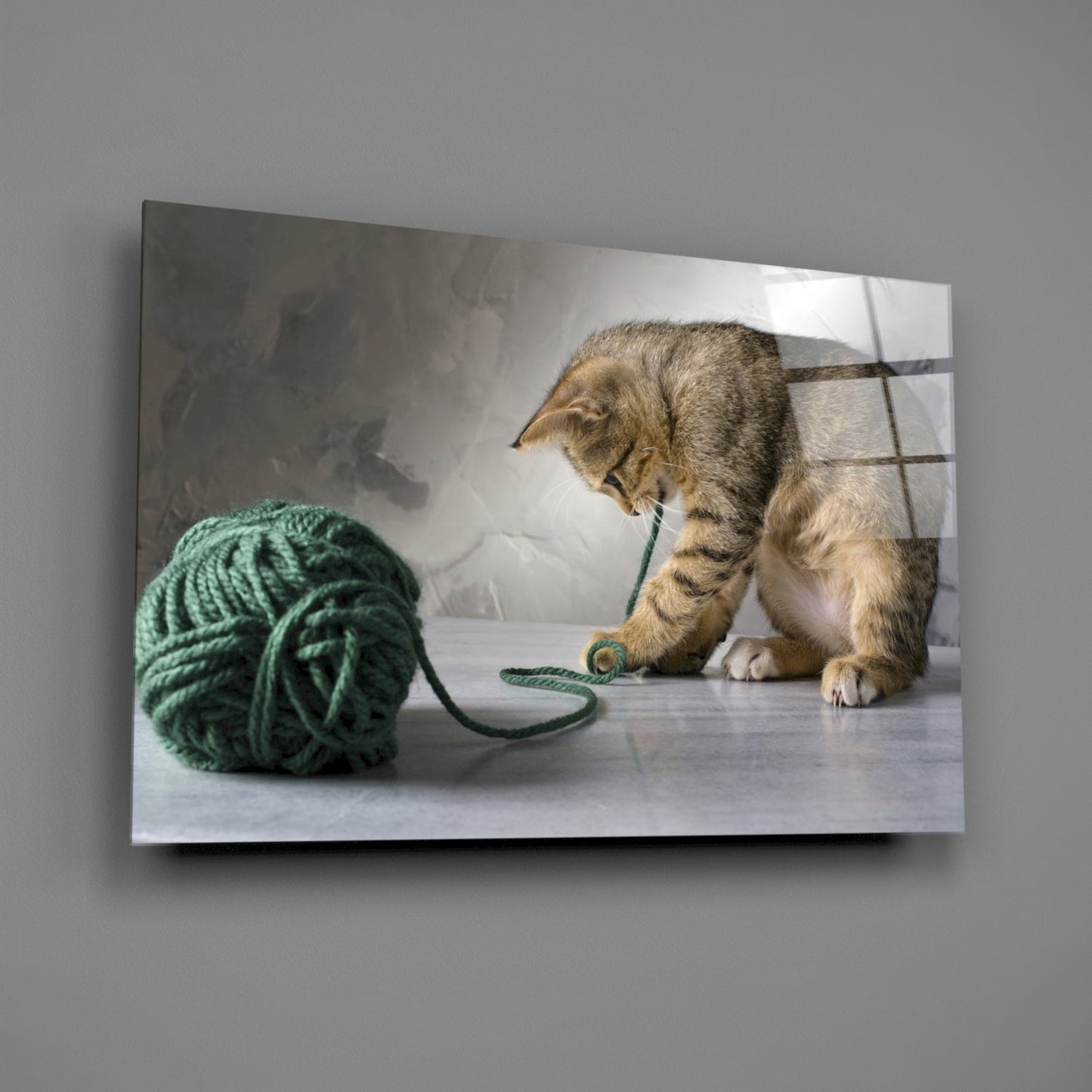 Tabby Kitten Glass Wall Art