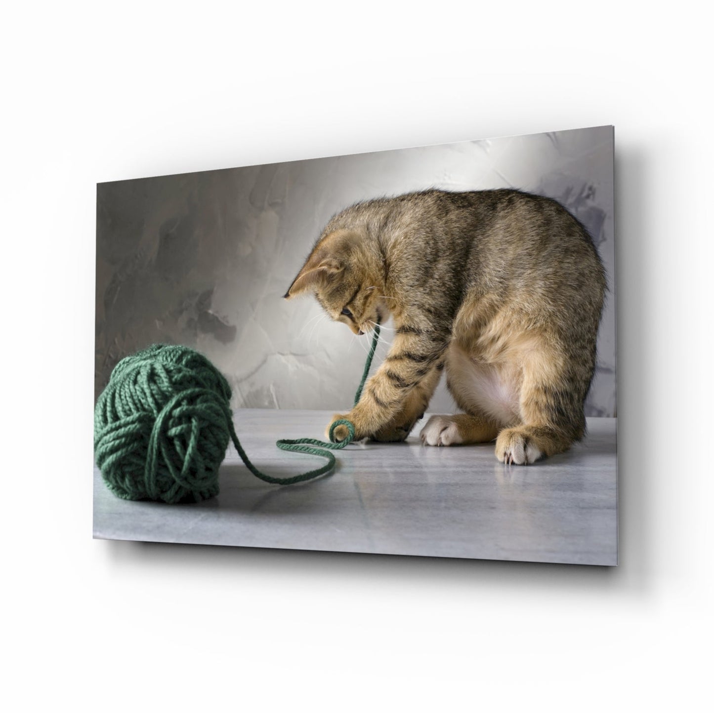 Tabby Kitten Glass Wall Art - kitten with yarn