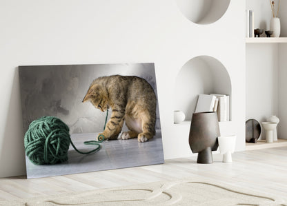 Tabby Kitten Glass Wall Art