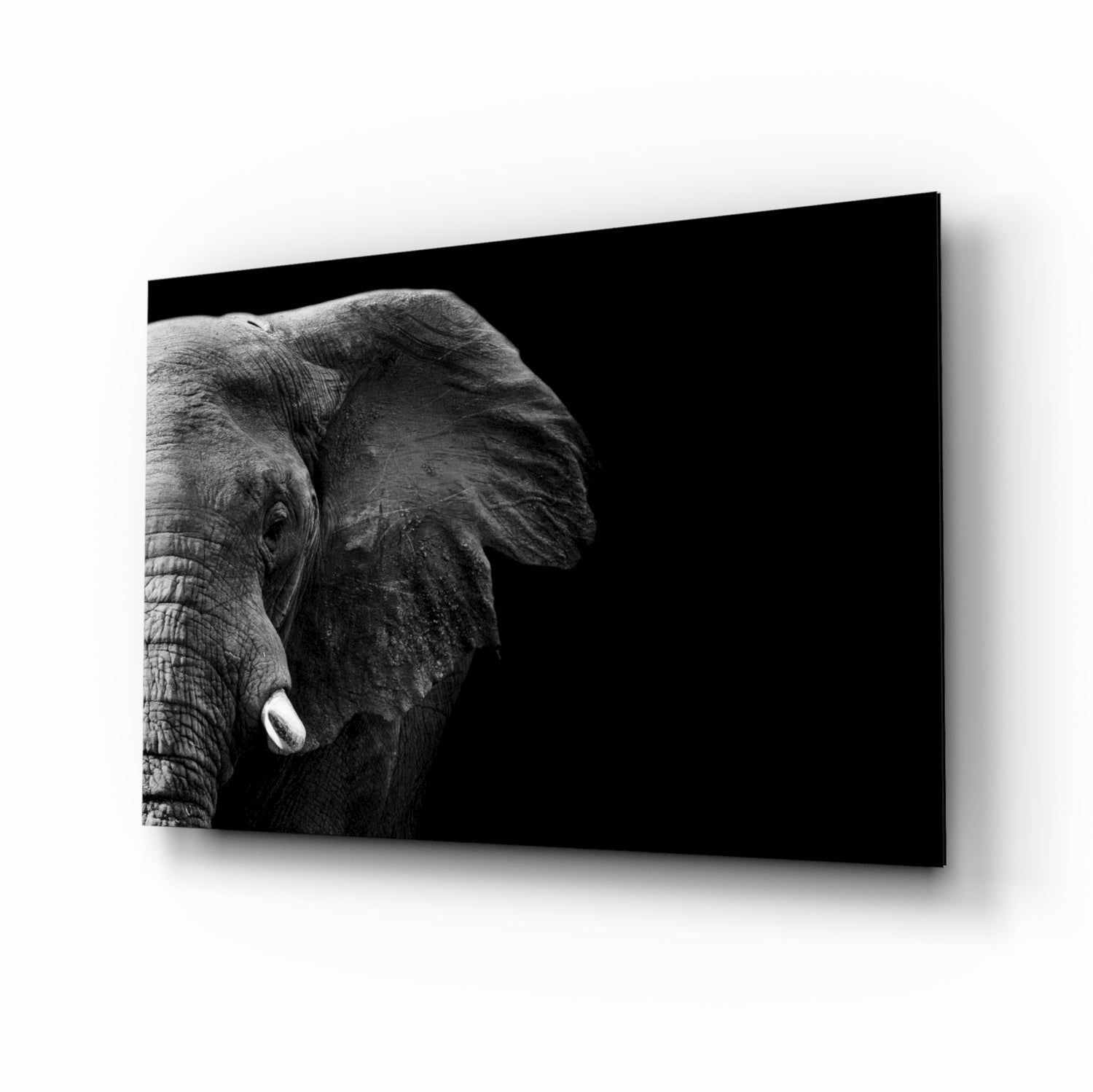 Elephant portrait glass wall art