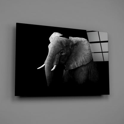 Black and White Elephant Glass Wall Art