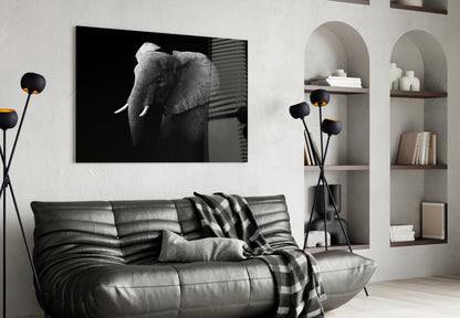 Black and White Elephant Glass Wall Art