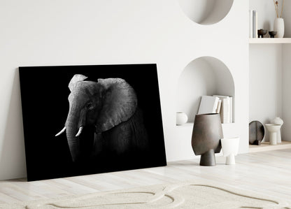 Black and White Elephant Glass Wall Art