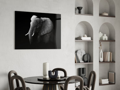 Black and White Elephant Glass Wall Art
