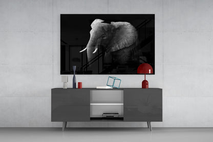 Black and White Elephant Glass Wall Art