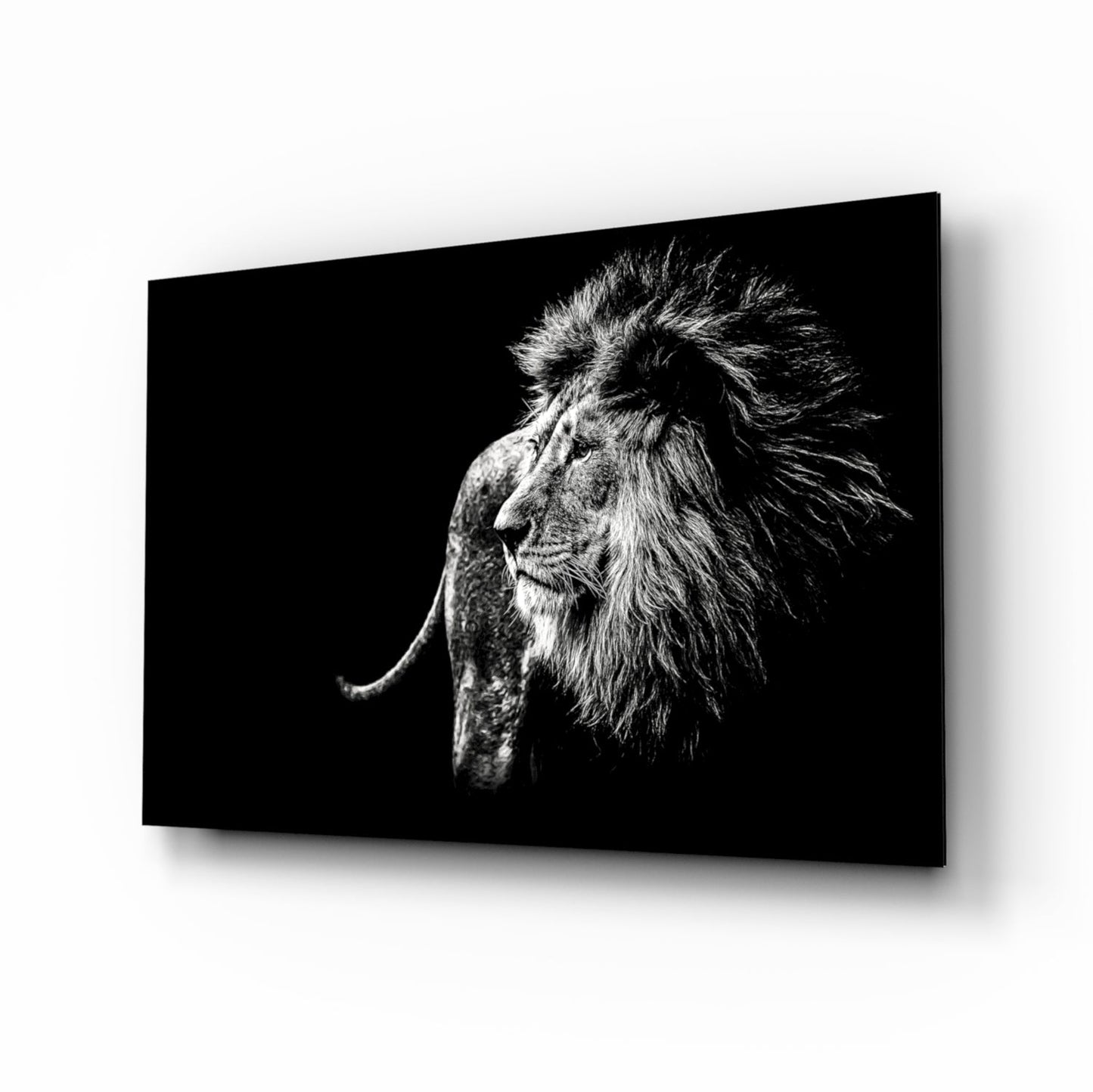 Windswept Lion Profile Glass Art