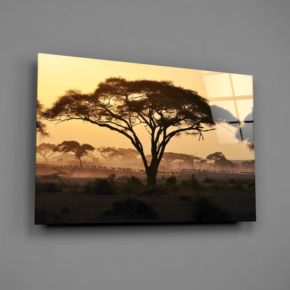 Tree Glass Wall Art