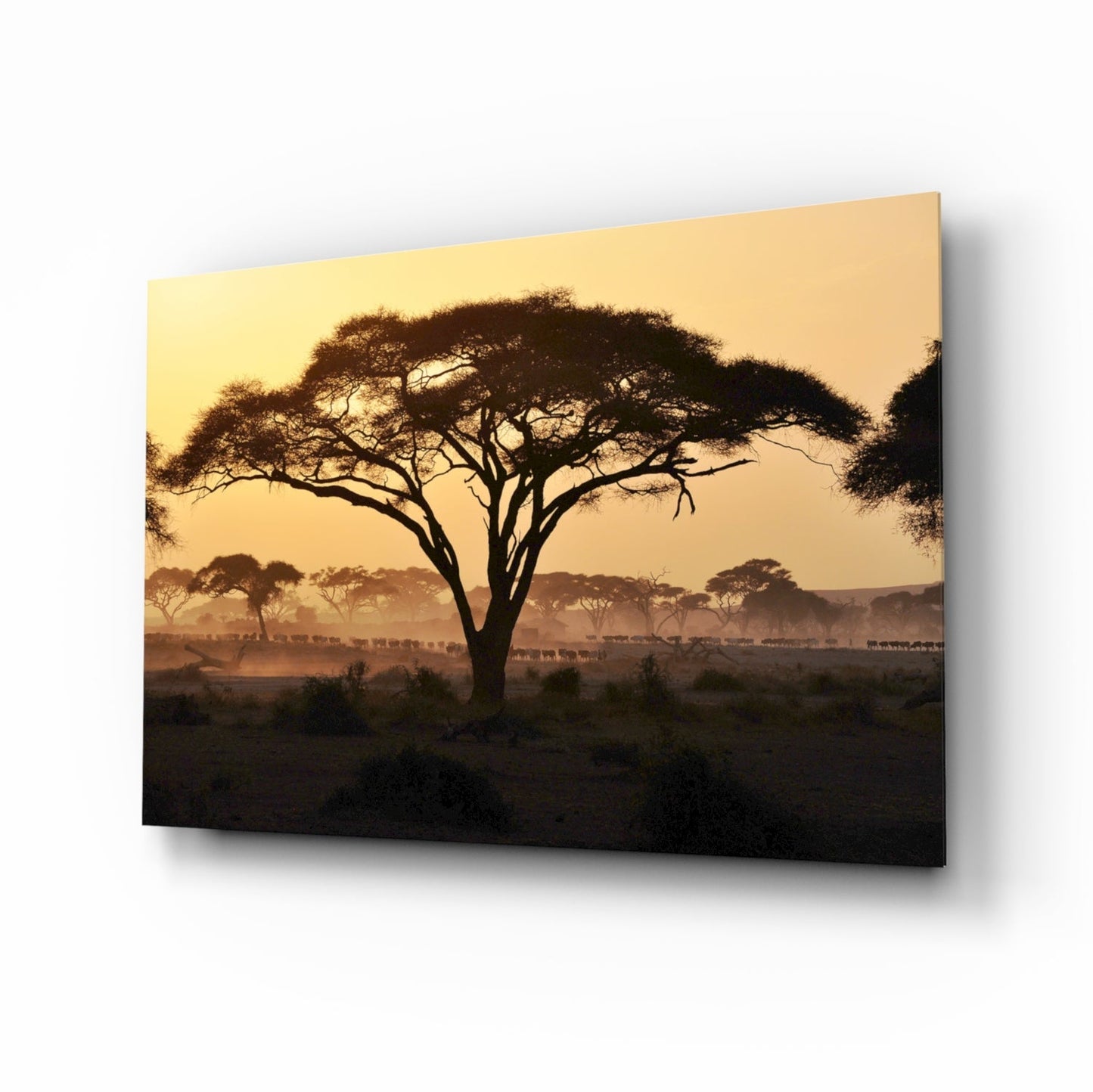 Savanna Tree Glass Wall Art with acacia tree at amber sunset