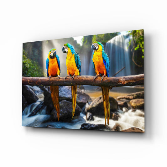 Parrots glass wall art - three blue-and-gold macaws by rainforest waterfall, tempered glass