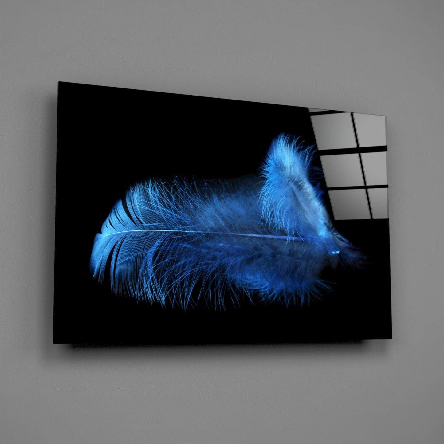 Blue Feather Macro Glass Wall Art