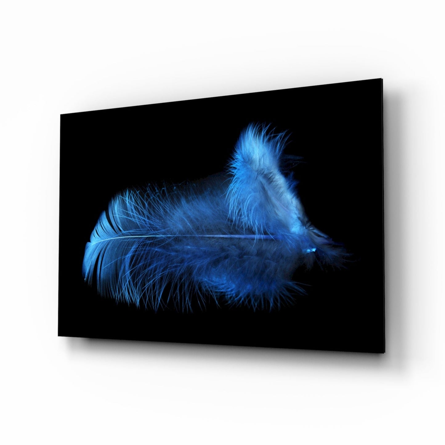 Blue feather macro glass wall art, soft down feather on deep black with cool light