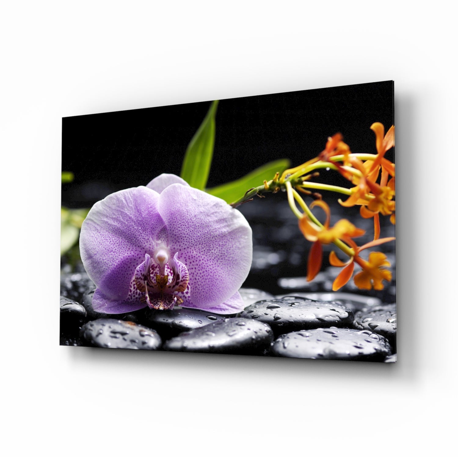 Lilac orchid orange blooms tempered glass wall art