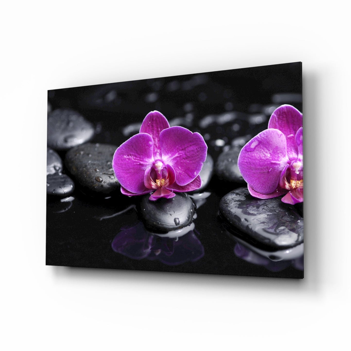 Magenta orchid zen stones glass wall art