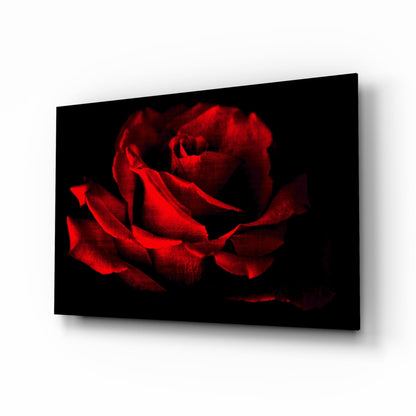 Glowing red rose close-up glass wall art