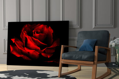 Glowing Red Rose Close-Up Glass Wall Art