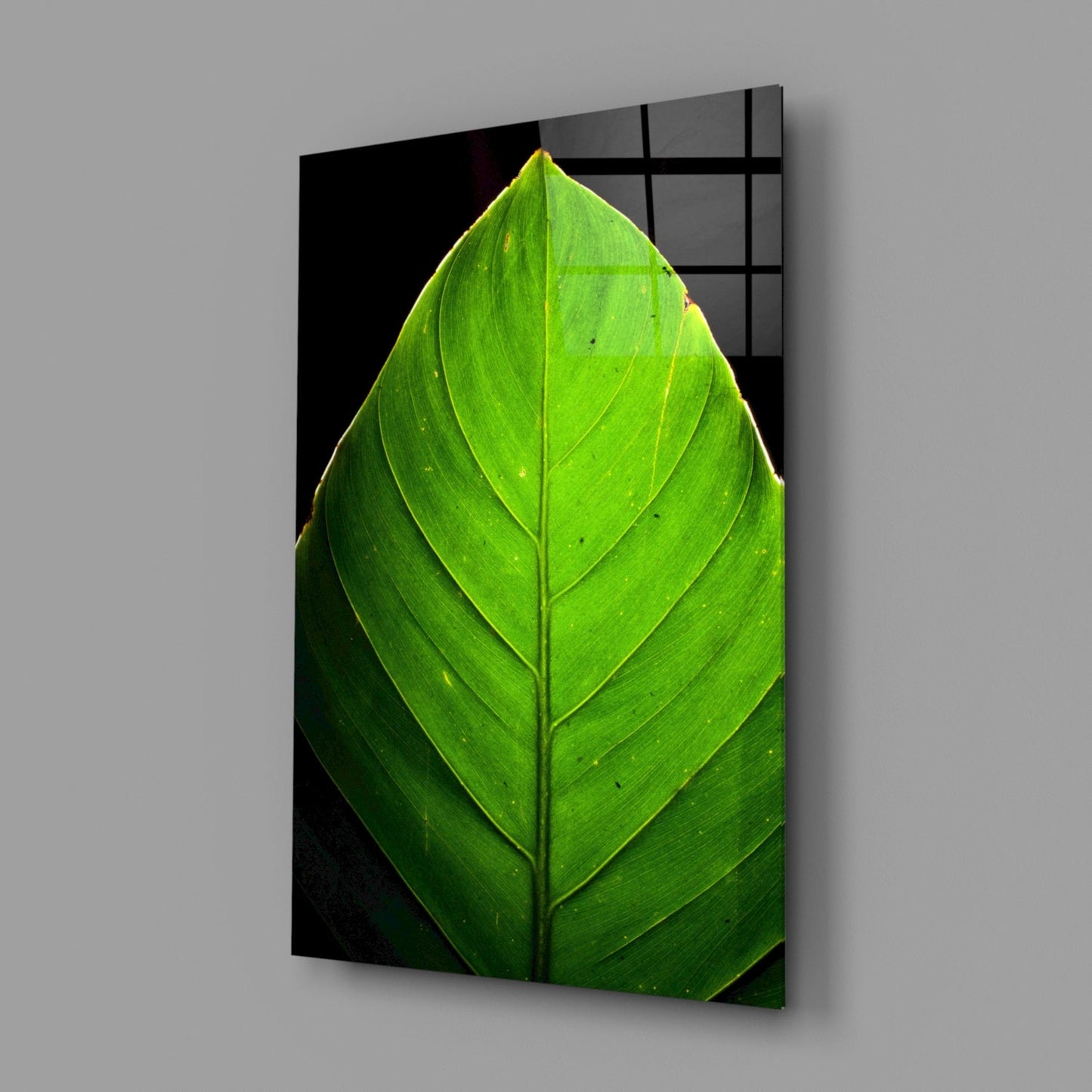 Green Leaf on Black Glass Wall Art