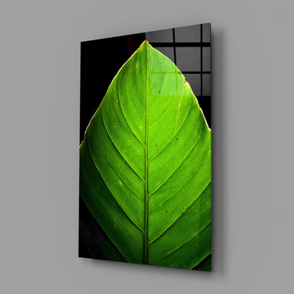 Green Leaf on Black Glass Wall Art