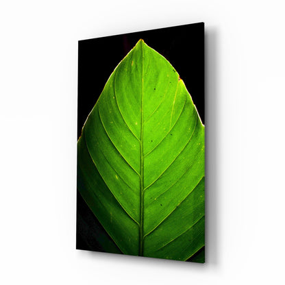 Green leaf glass wall art print