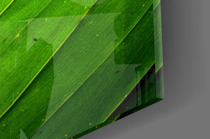Green Leaf on Black Glass Wall Art