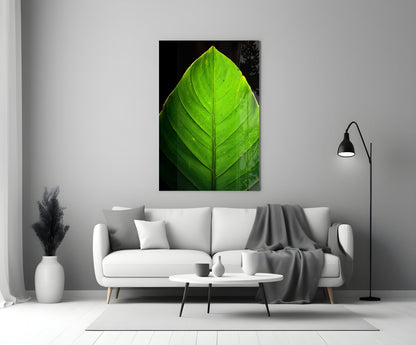 Green Leaf on Black Glass Wall Art