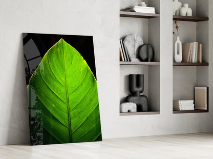 Green Leaf on Black Glass Wall Art