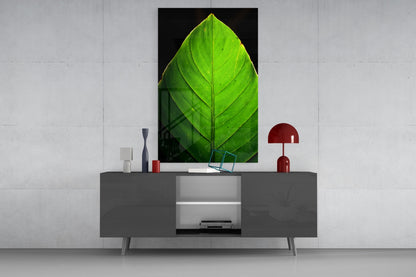 Green Leaf on Black Glass Wall Art