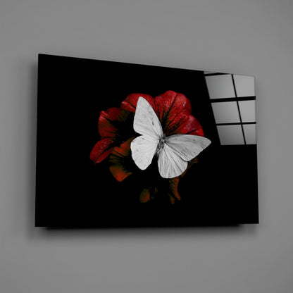 Butterfly Glass Wall Art