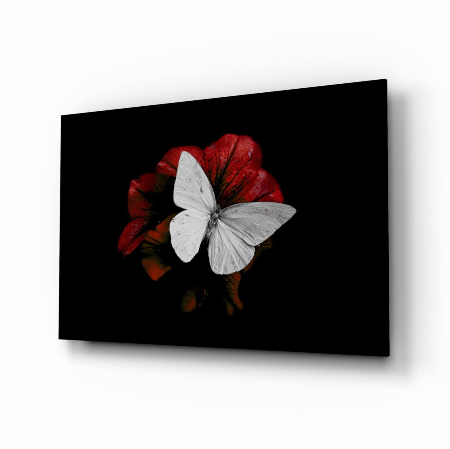 Butterfly glass wall art white on red flower