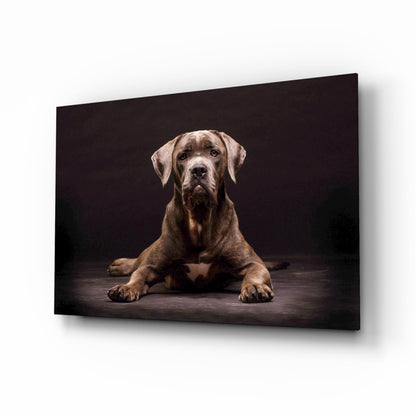 Dog glass wall art, characterful dog portrait on high-gloss tempered glass