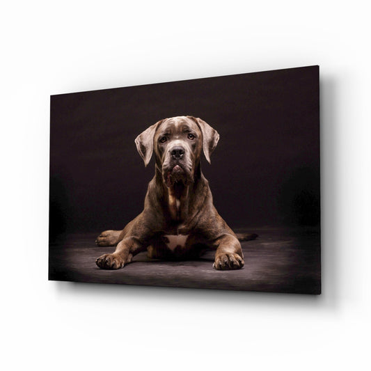 Dog glass wall art, characterful dog portrait on high-gloss tempered glass