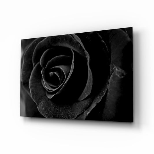 Black rose macro floral glass wall art