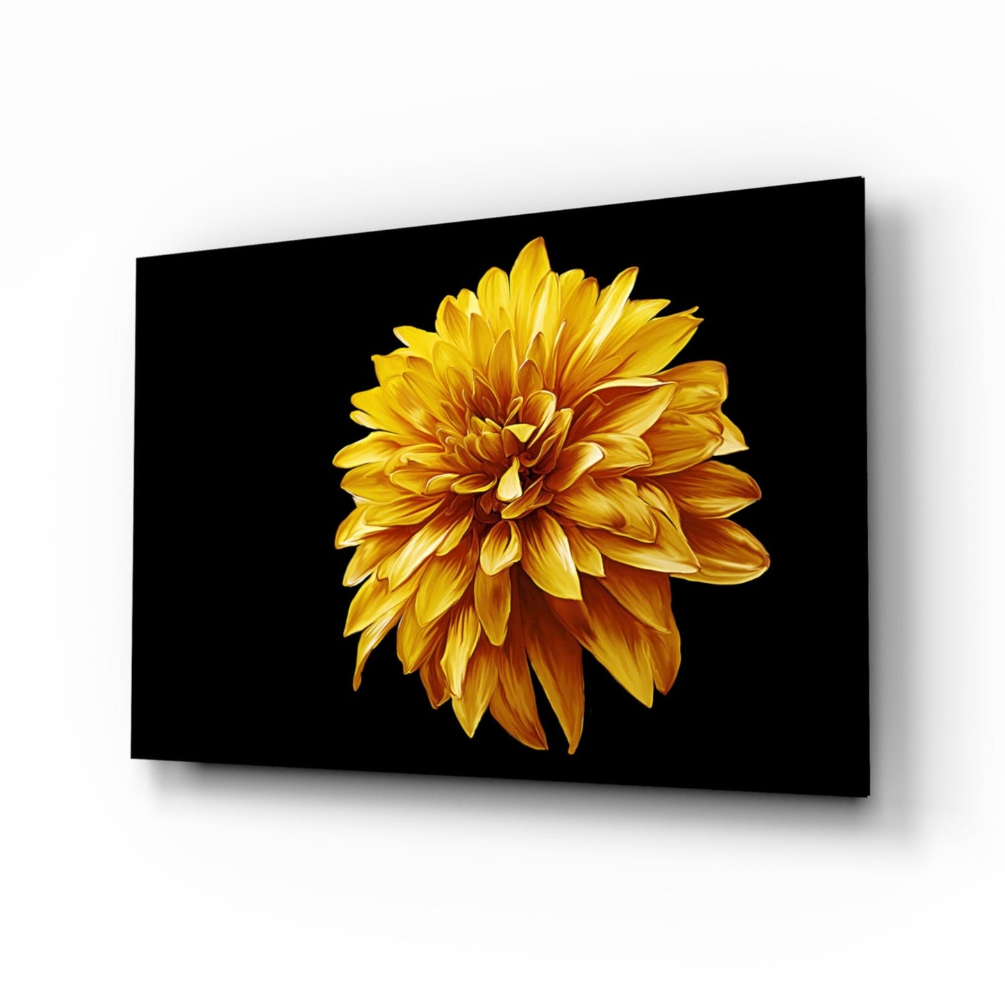 Yellow chrysanthemum tempered glass wall art on black background