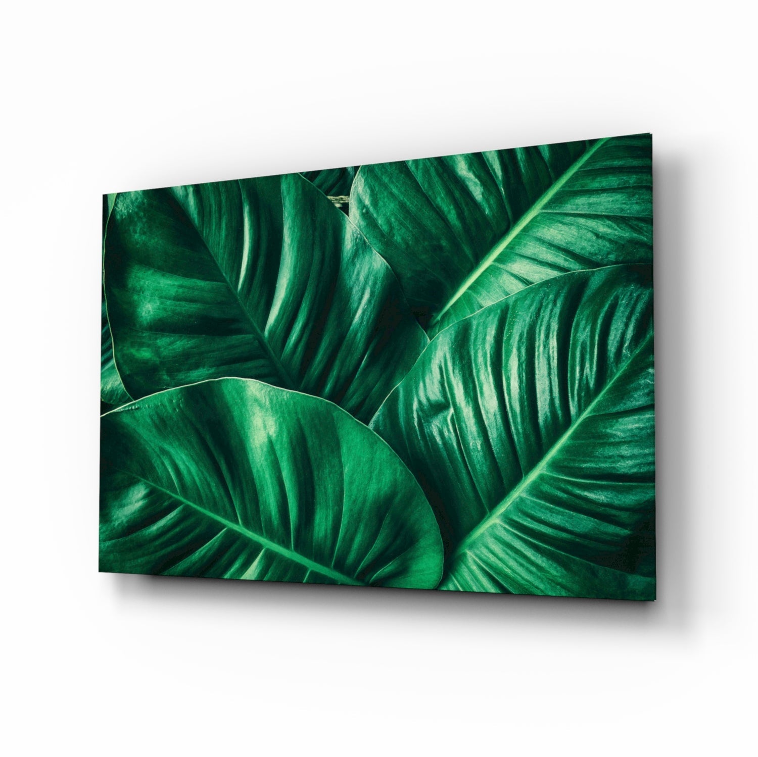 Green tropical leaf glass wall art emerald