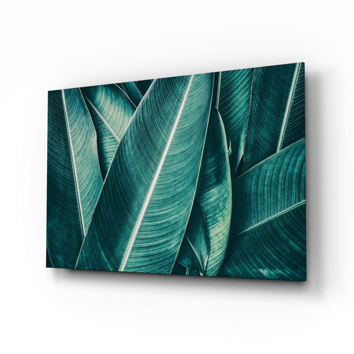 Green tropical leaf glass wall art teal emerald