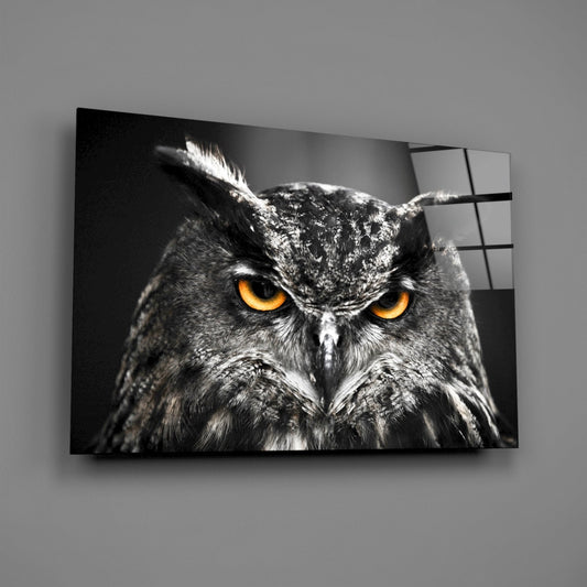 Owl Glass Wall Art - Great Horned Owl