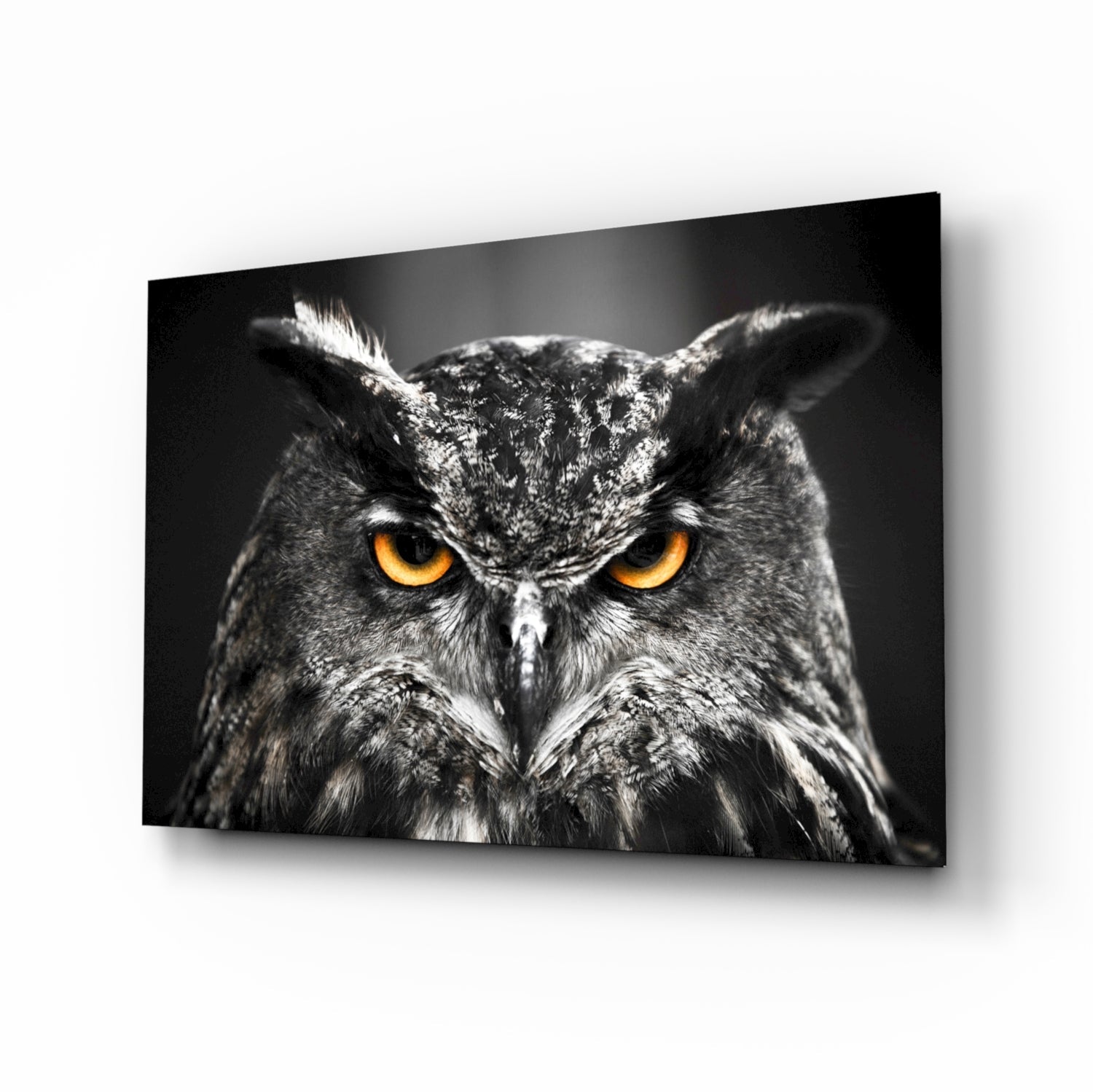 Great horned owl with amber eyes facing forward, glass wall art