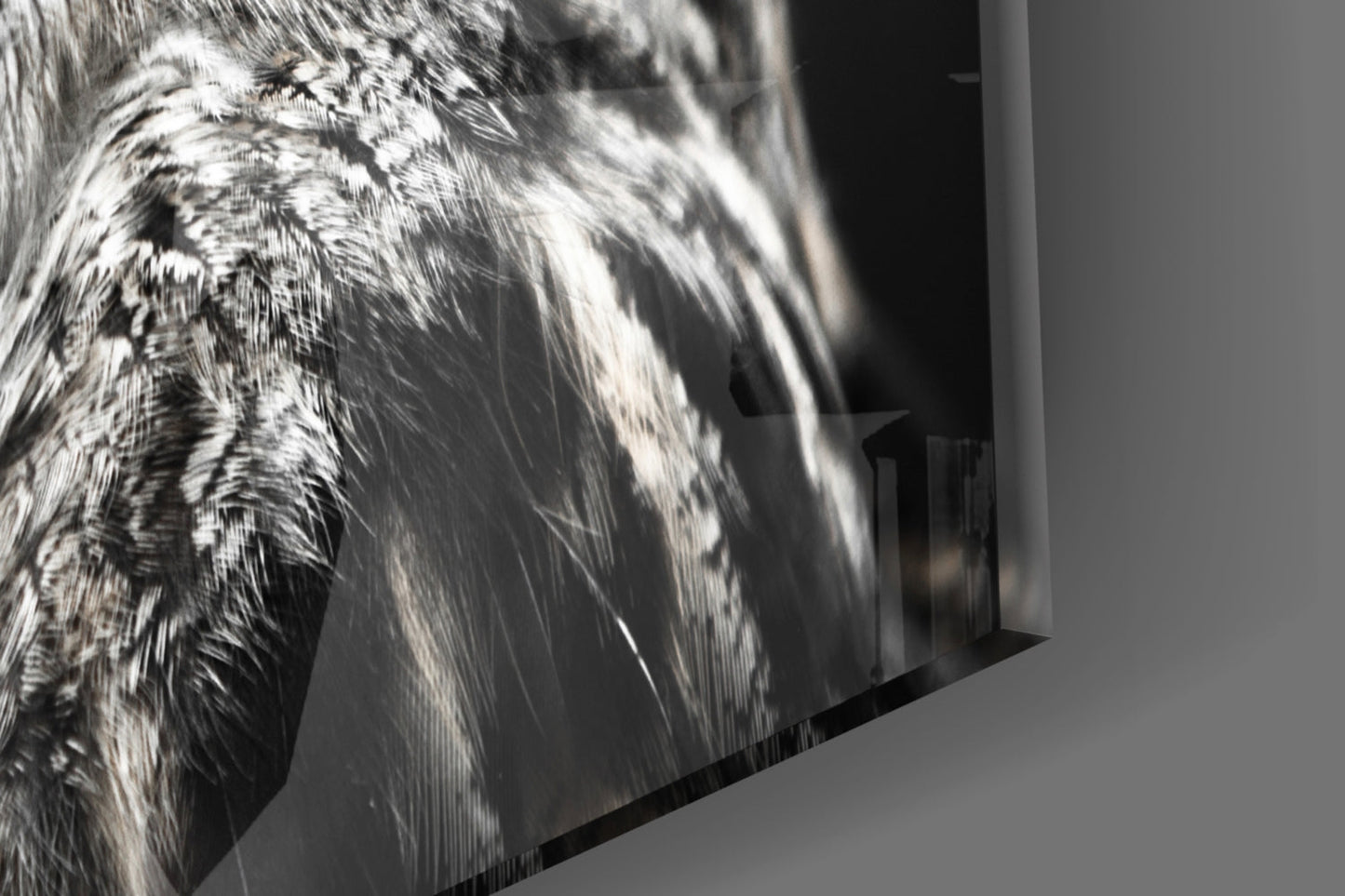 Owl Glass Wall Art - Great Horned Owl