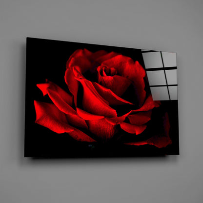 Red Rose Petals Glass Wall Art