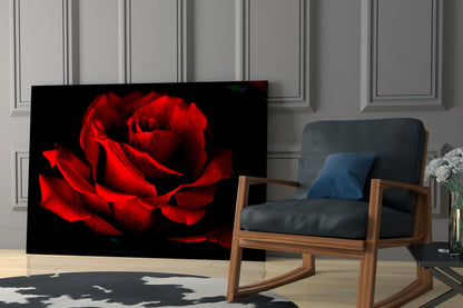 Red Rose Petals Glass Wall Art