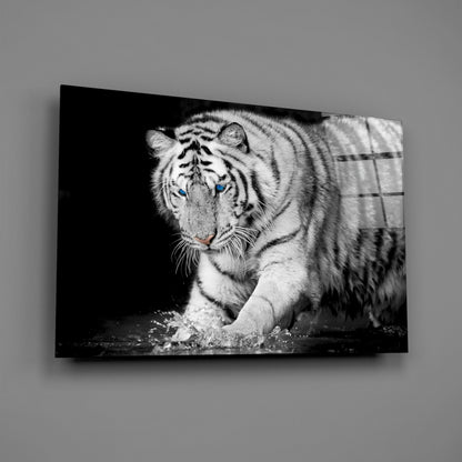 Tiger Of The Bengal Glass Wall Art