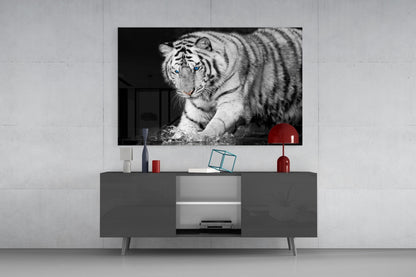 Tiger Of The Bengal Glass Wall Art